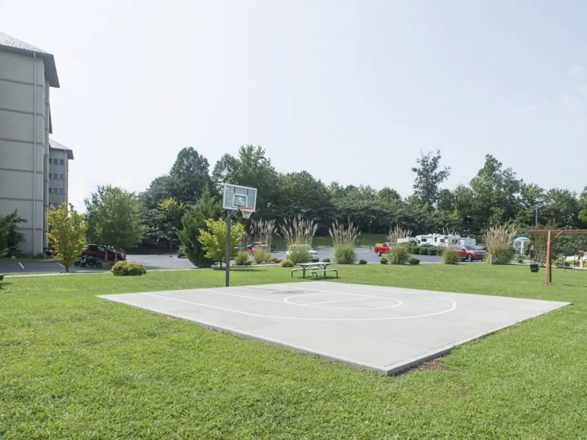 A sunny outdoor sports court with a basketball hoop, lush green grass, and a picnic table nearby. The setup allows for energetic basketball games, picnicking, and socializing, with people enjoying both recreation and relaxation in a welcoming outdoor space.