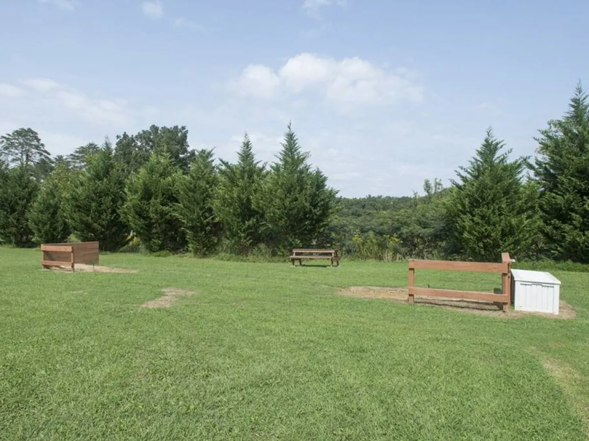 A tranquil green space with wooden benches, lush grass, and a row of trees, inviting guests to relax, have a picnic, or watch children play. The open area suggests room for various outdoor games and gatherings.